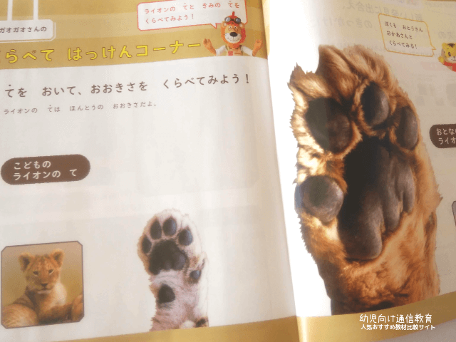 こどもちゃれんじ えほん 見本