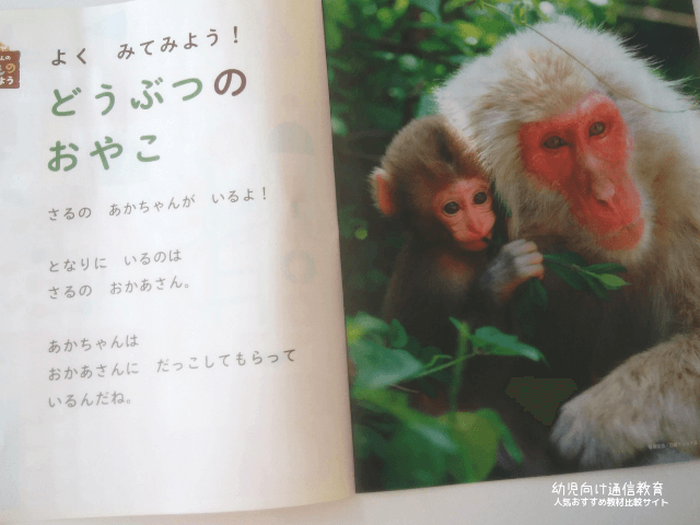 こどもちゃれんじ えほん 見本