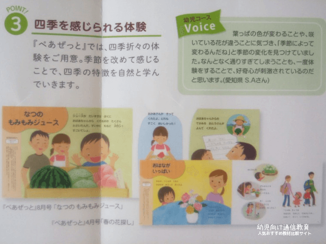 Z会 幼児コース