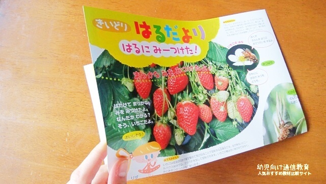 幼児ポピー 口コミ