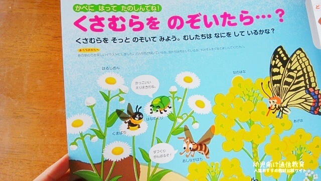 幼児ポピー 口コミ