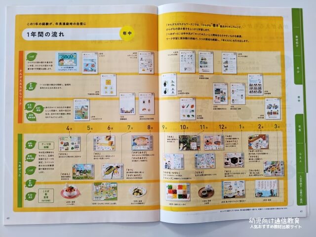 Z会 年中 おためし 口コミ