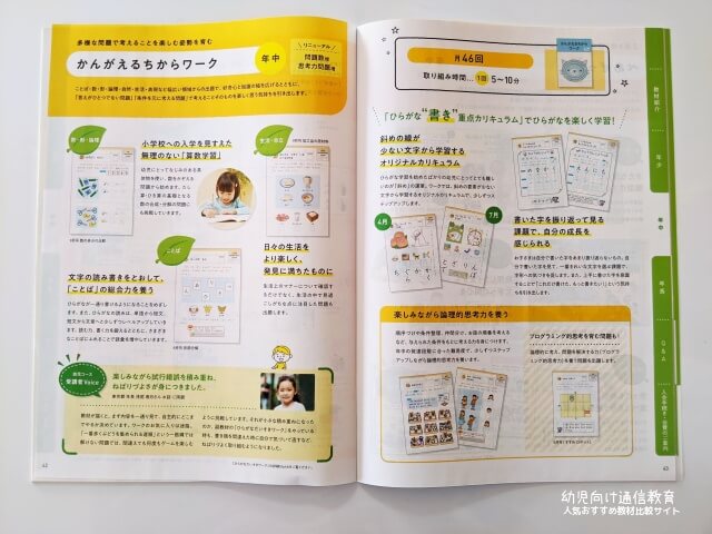 Z会 年中 おためし 口コミ