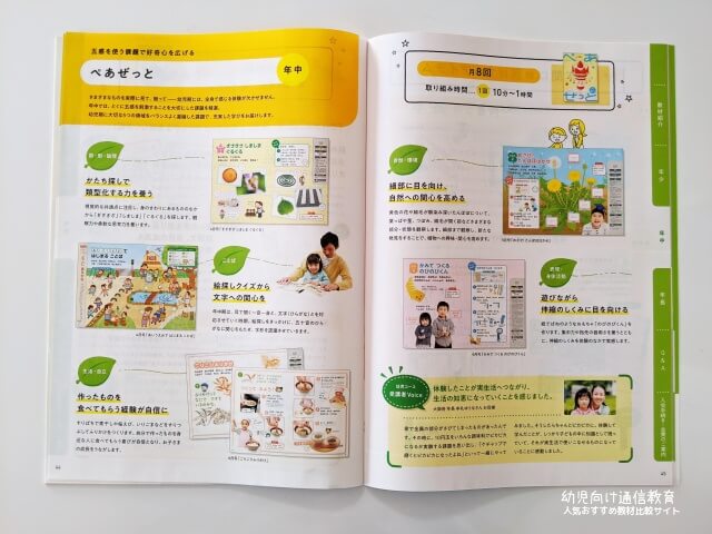 Z会 年中 おためし 口コミ