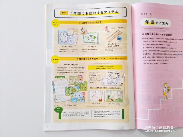 Z会 年中 おためし 口コミ