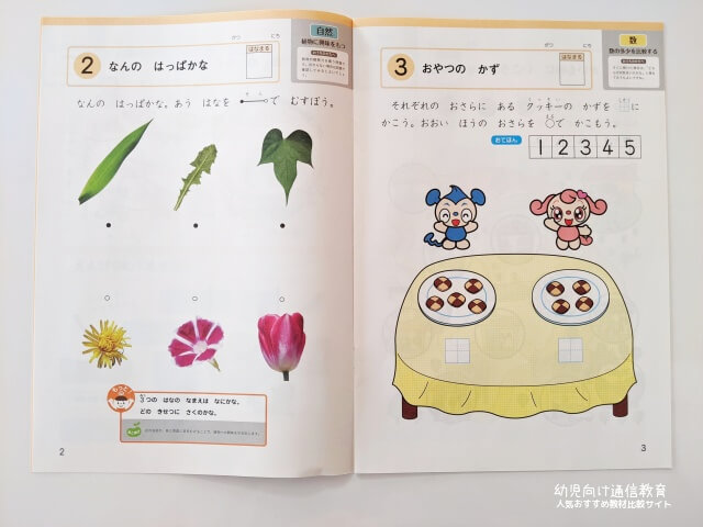 Z会 年中 おためし 口コミ