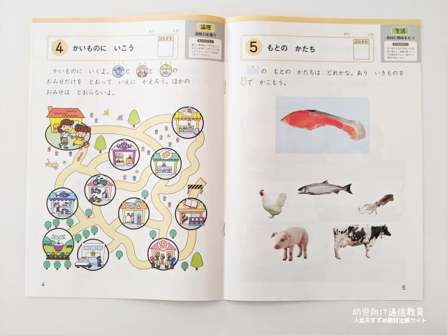 Z会 年中 おためし 口コミ